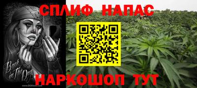 шишки Свободный