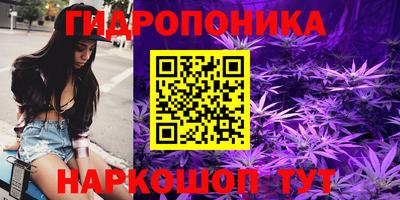 шишки Свободный