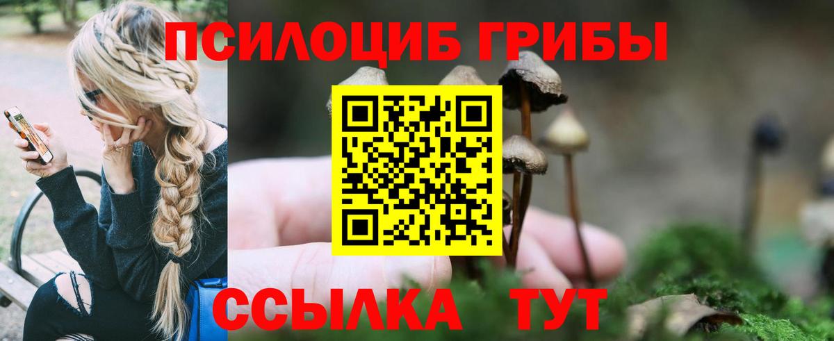 Галлюциногенные грибы MAGIC MUSHROOMS Балашиха